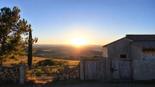 Découvrez les saveurs et traditions authentiques de la Camargue
