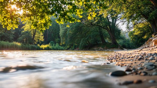 Top 5 raisons de camper en Ardèche pour des souvenirs uniques
